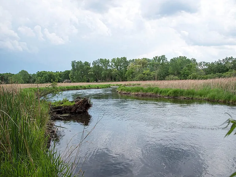 Overlook on the Creek — Photo 96