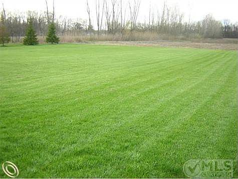 FULL REAR YARD