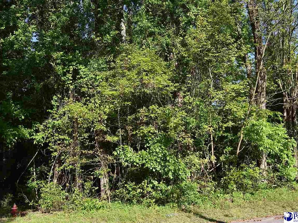 2nd image of 615 Forest Acres Dr