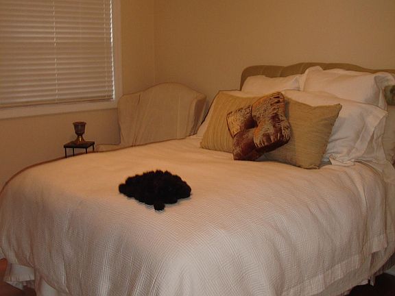 Bedroom with custom closet organizer