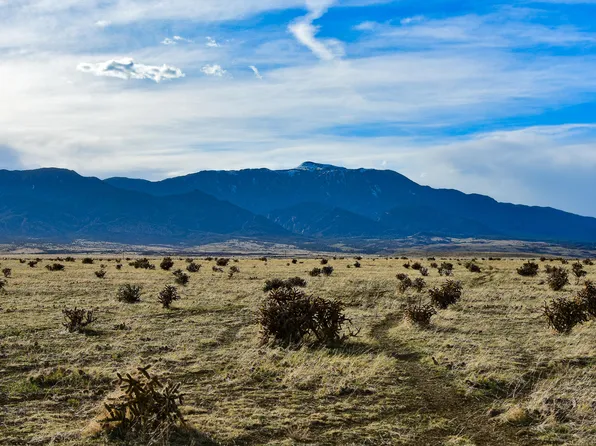 39 Colorado Buffalo Rnch, Walsenburg, CO 81089
