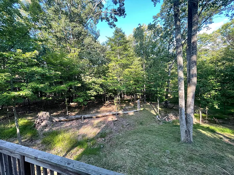 10 Pileated Woodpecker Ln — Photo 28
