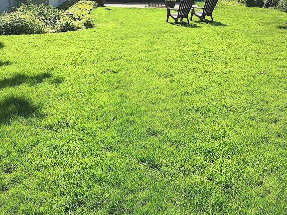 Backyard view to house 