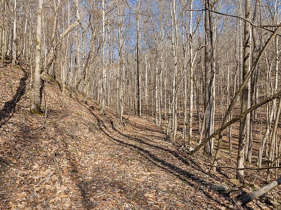 5th image of 0 Hurricane Creek Rd Lot 1&2