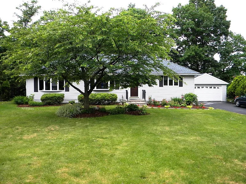 19 Notchcroft Dr photo 1
