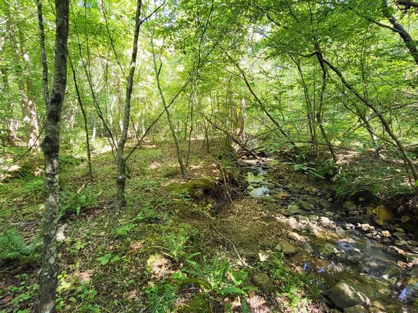 664 Jenny Ln, Spout Spring, VA 24593