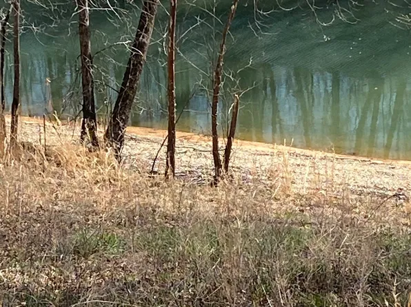 0 Wagon Ln Lot 28, Speedwell, TN 37870