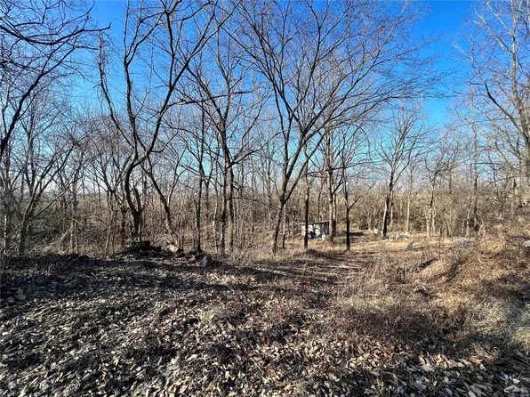 4425 Seiler Rd, Dorsey, IL 62021