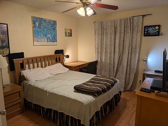Queen Bed Van Gogh decor