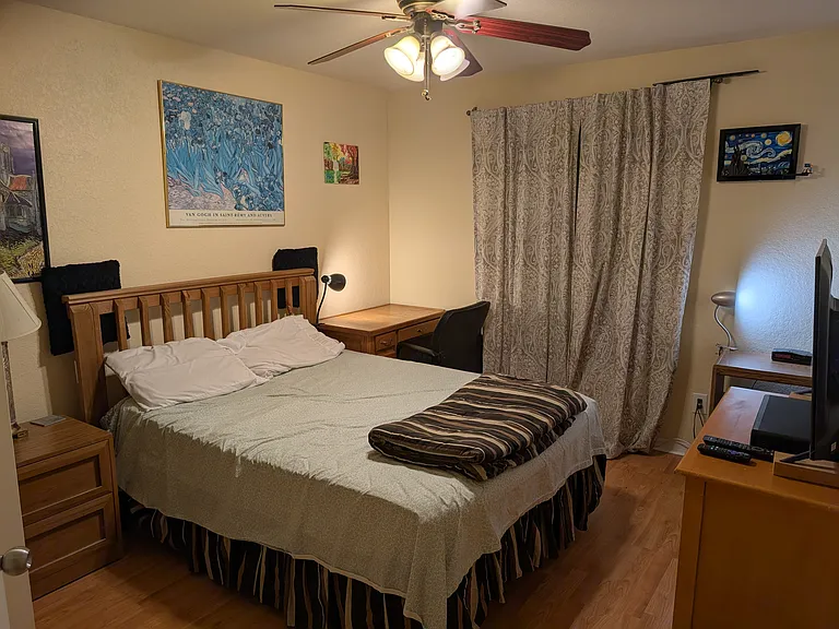 Queen Bed Van Gogh decor