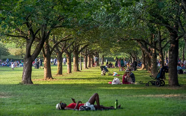 Rented by Harmonycity Corp. | media 11