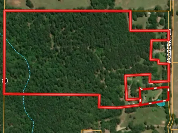 634 Mulberry Ln, Hallsville, TX 75650