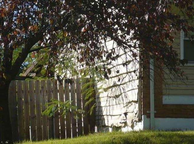 2nd image of 112 Dundee Cir
