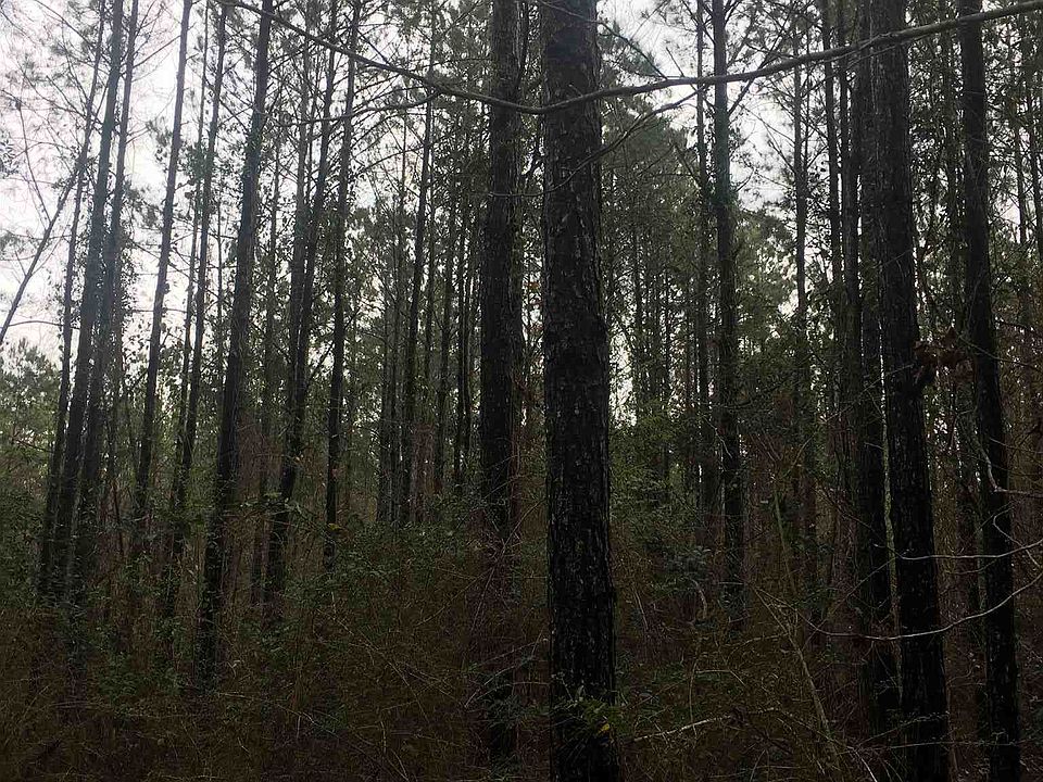 1st image of Pea Ridge Rd