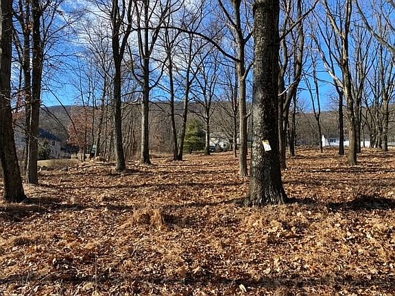 5th image of 1148 Verona Dr