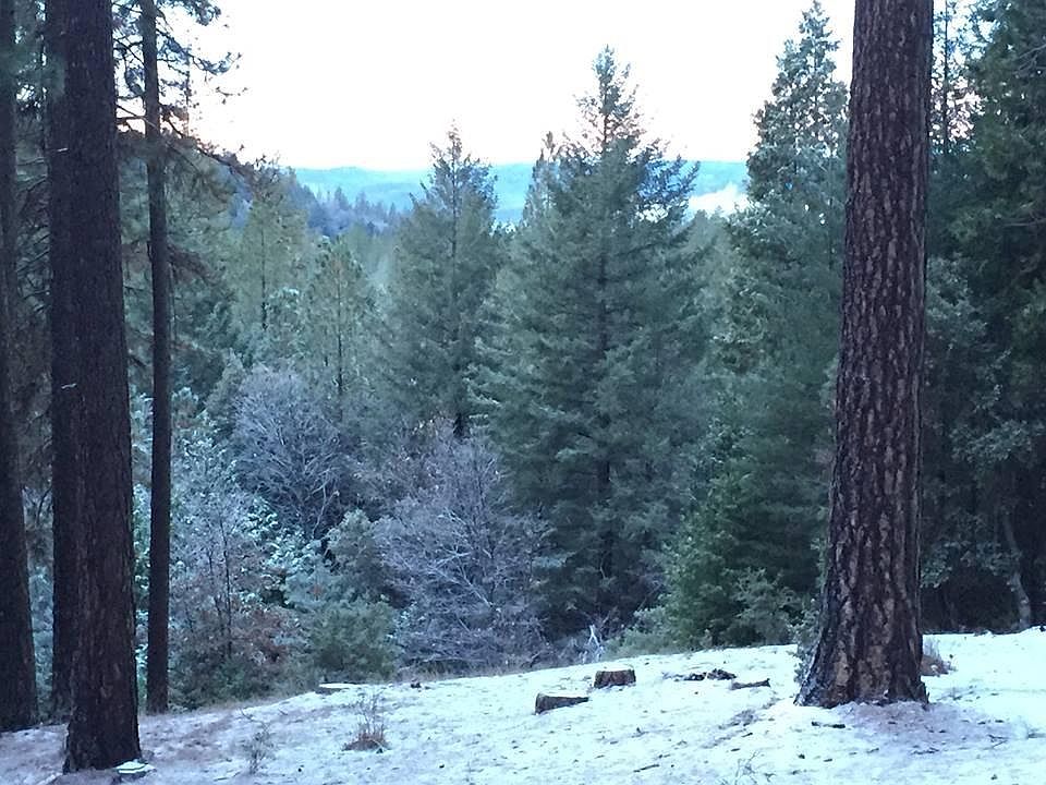 back yard during winter months