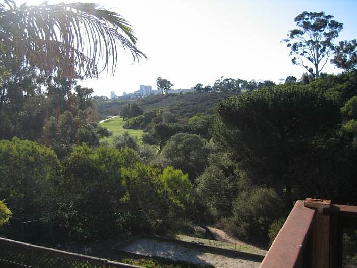 View from private deck