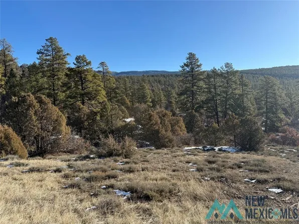 Town Road Ponderosa Dr Unit 1, Chama, NM 87520