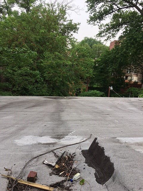 2nd image of 93 Belmont Ave