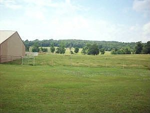 5th image of 812 County Road 3281