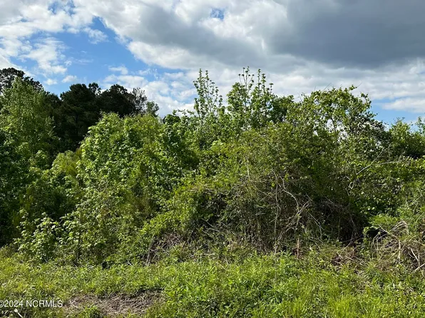 5565 Honey Hill Road, Hallsboro, NC 28442