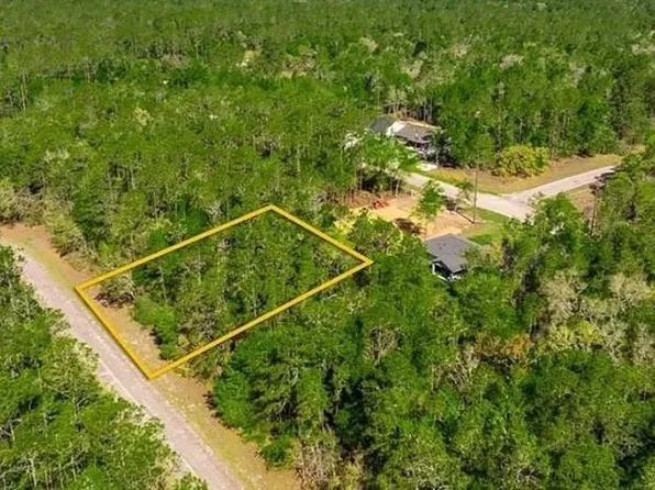 165 E Simms Ln, Citrus Springs, FL 34434