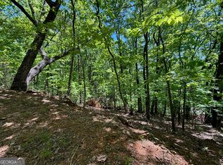 0 Lookout Ridge Rd #11, Cleveland, GA 30528