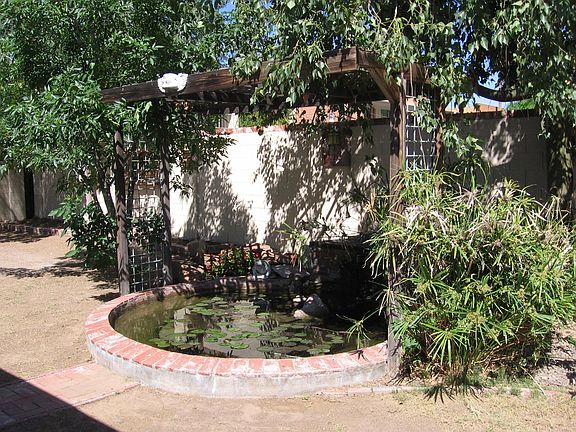 Tranquil pond