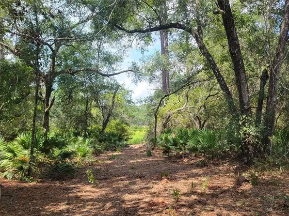 6 NE 127th St #6, Fort Mc Coy, FL 32134