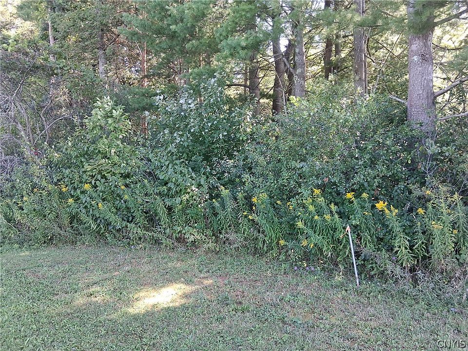 2nd image of LOT 2 Kehoe Rd Lot 6