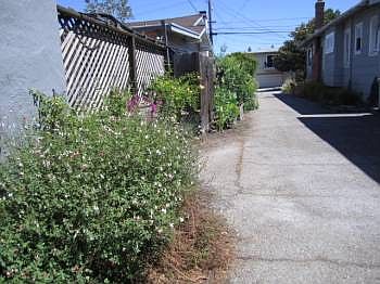 2nd image of 1221 Capuchino Ave APT A