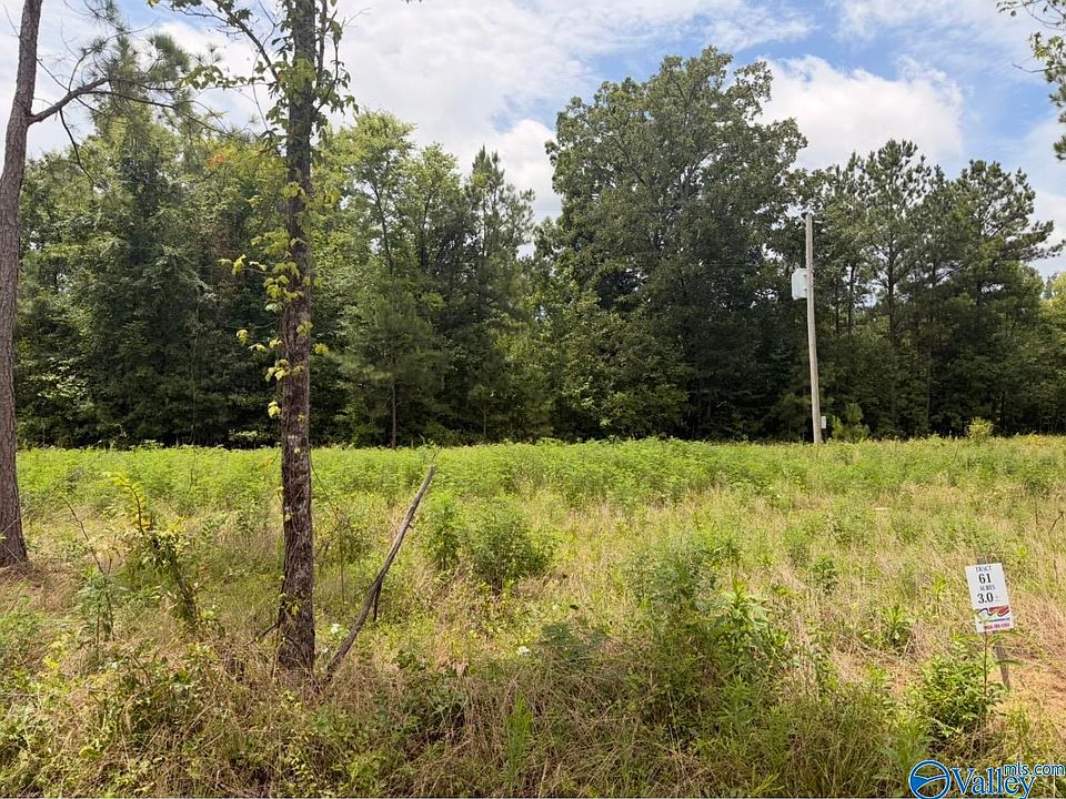 1st image of 61 County Road 32