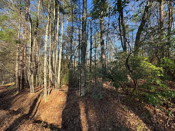 LOT J260 Pine Ridge Rd, Ellijay, GA 30536