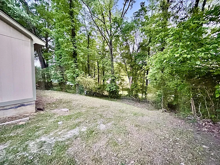3801 Rainford Dr — Photo 12