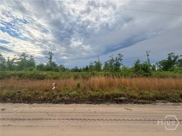 0 Riggs Lane, Claxton, GA 30417