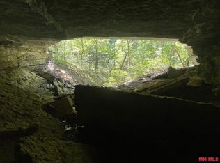 353 Autumn Ridge Ln, Yellville, AR 72687