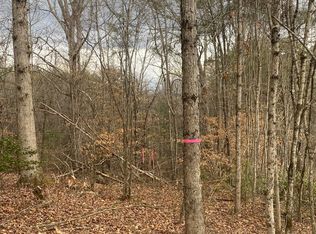 25 Orchard Pl, Blue Ridge, GA 30513