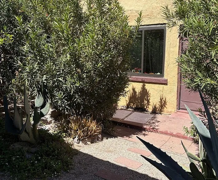 2245 S 6th Ave #7 — Photo 3
