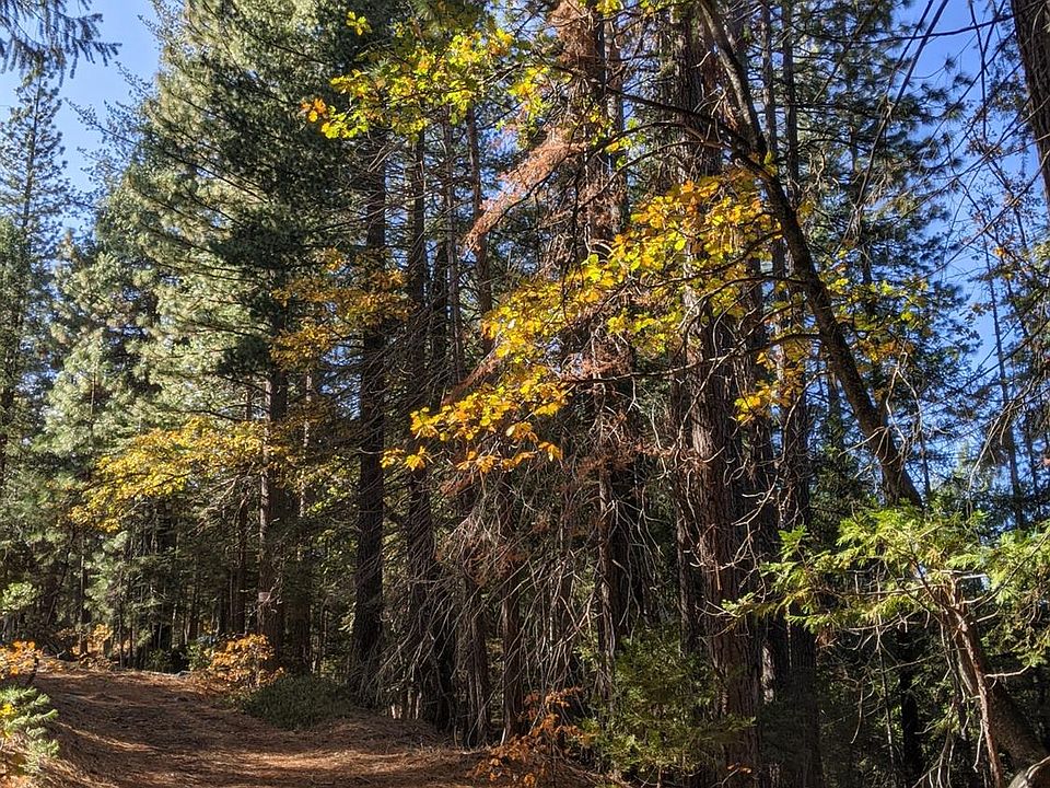 12664 Last Chance Mine Rd, Nevada City, CA 95959 MLS 222147801 Zillow
