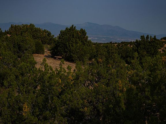 4th image of 10 Tierra De Tano