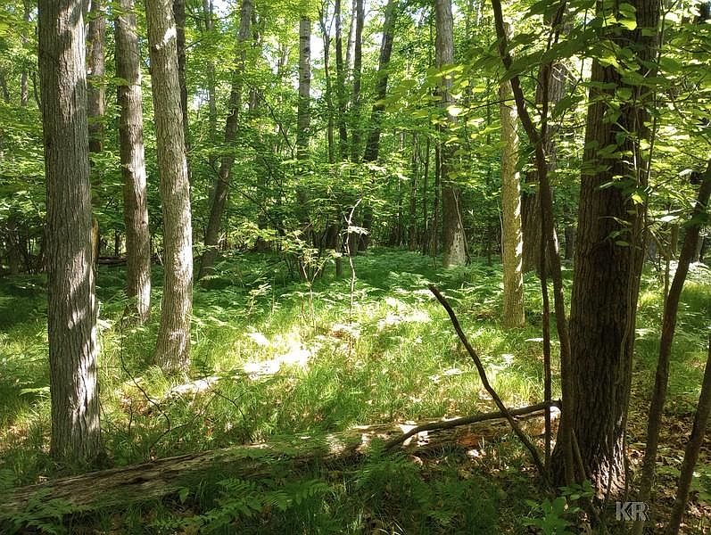 1st image of LOT 9 White Birch Ln
