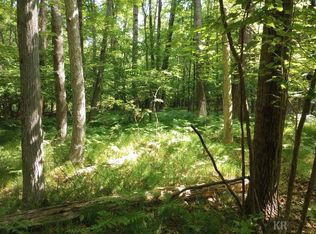 LOT 9 White Birch Ln, Farwell, MI 48622