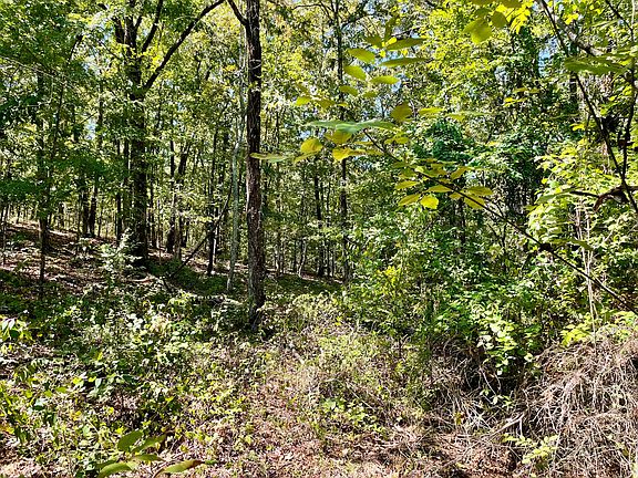 2nd image of 0 Windy Point Rd Lot 11