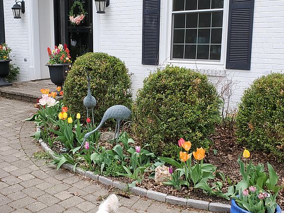 5th image of 481 Clotts Rd