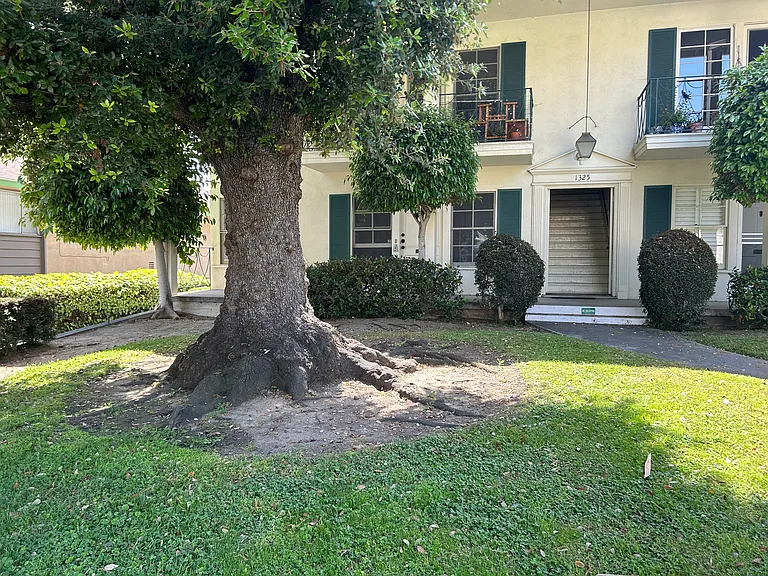 Oak Tree and lawn in front of the front door. Walk up from the street like a house.