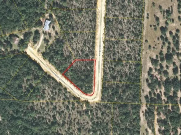 Nevada Dr, Alford, FL 32420