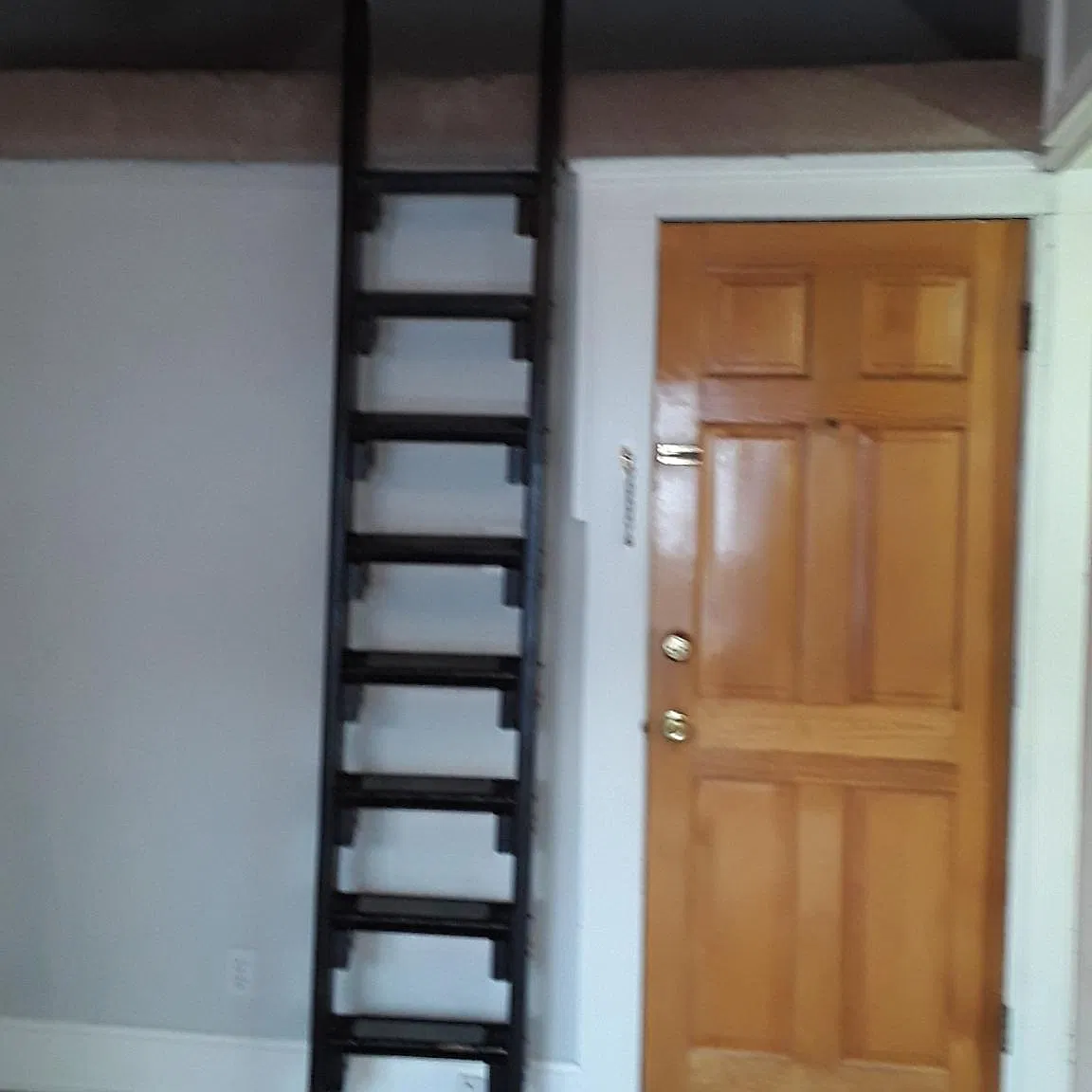 1567 Vine St — Photo 3
