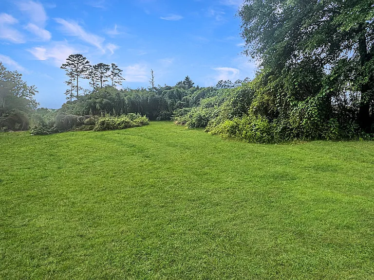 4031 Oliver Dr — Photo 10