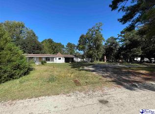 439 Macks Lake Rd, Johnsonville, SC 29555