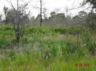 Fazzini Dr, Frostproof, FL 33843